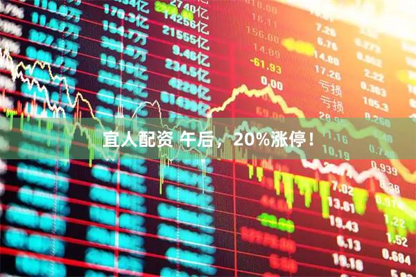 宜人配资 午后，20%涨停！