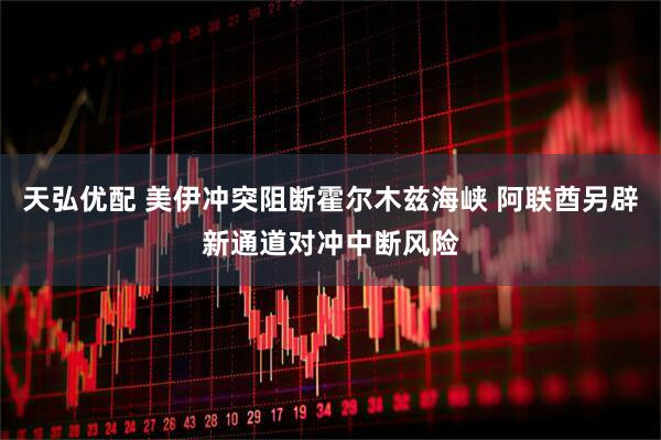 天弘优配 美伊冲突阻断霍尔木兹海峡 阿联酋另辟新通道对冲中断风险