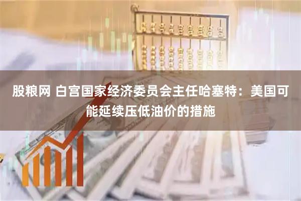 股粮网 白宫国家经济委员会主任哈塞特：美国可能延续压低油价的措施